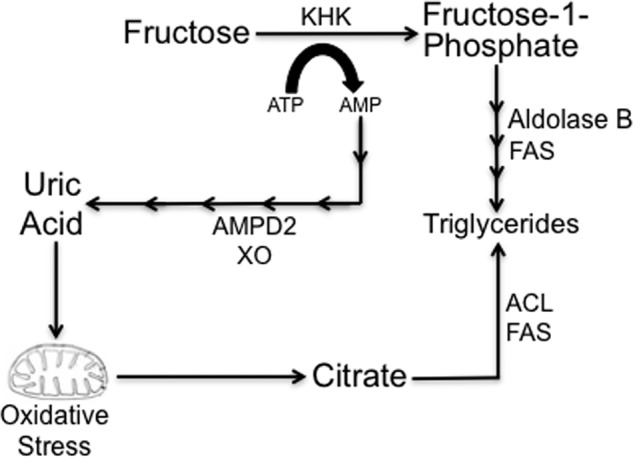 FIGURE 9.