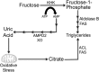 FIGURE 9.