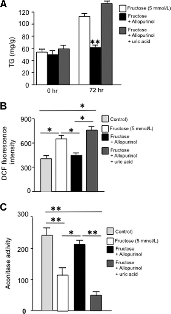 FIGURE 7.