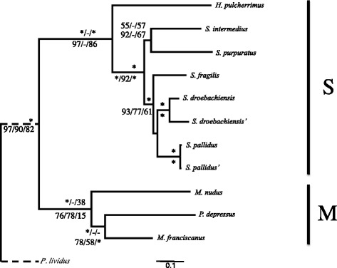 Fig. 3