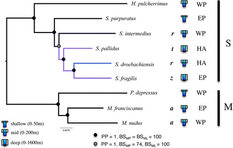 Fig. 2