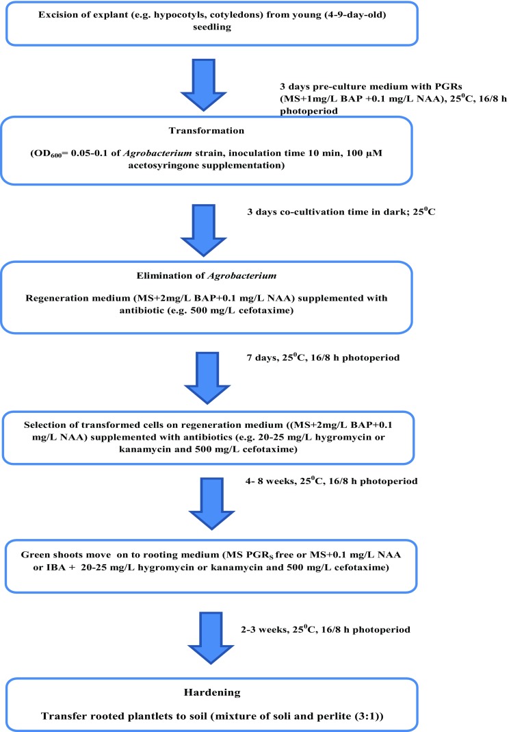 Fig. 2