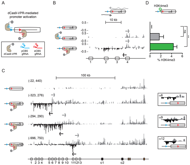 Figure 4: