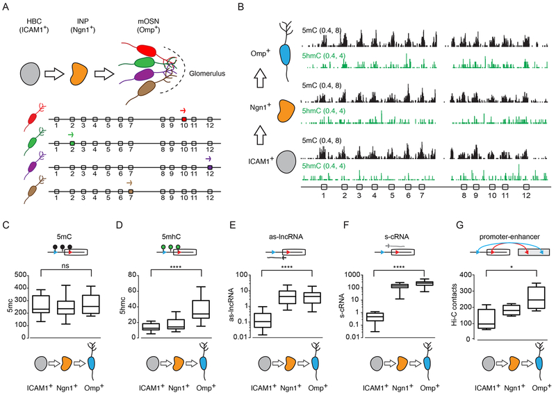 Figure 6: