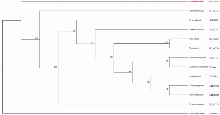 Figure 1.