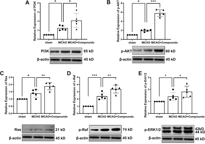 Fig. 9