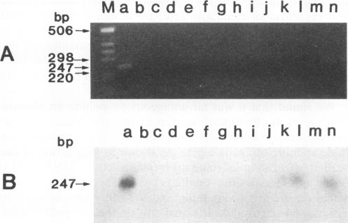 graphic file with name aem00023-0237-a.jpg