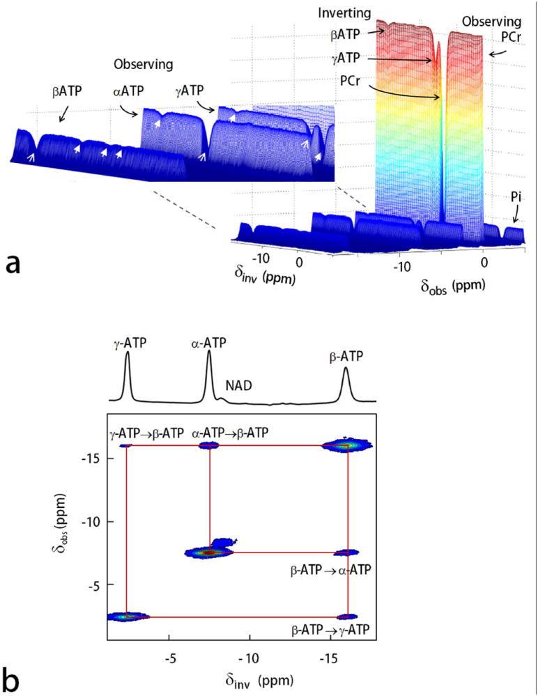 FIG. 3