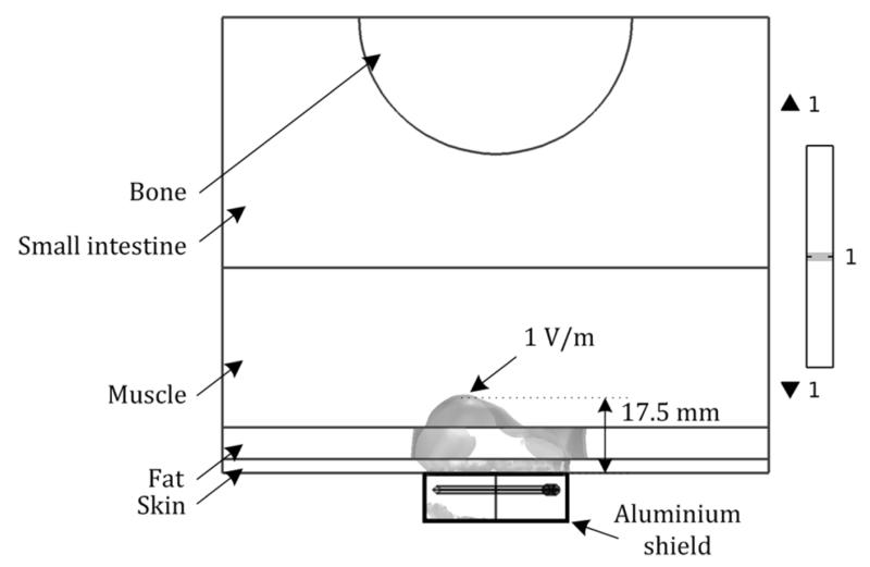 Fig. 5