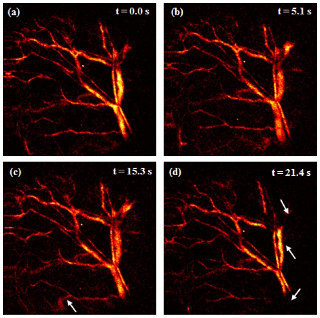 Fig. 7