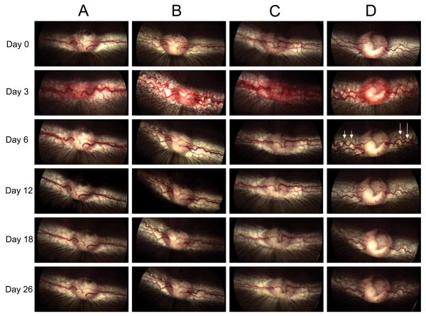 Fig. 2