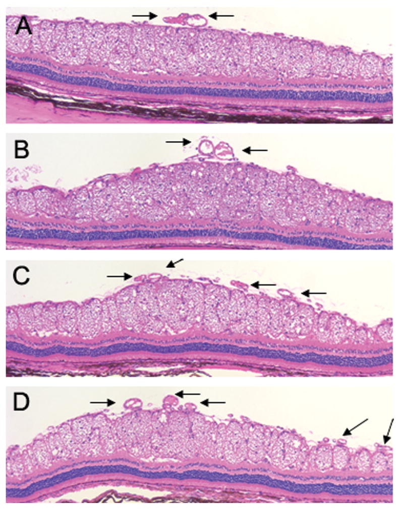 Fig. 7