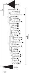Fig 5