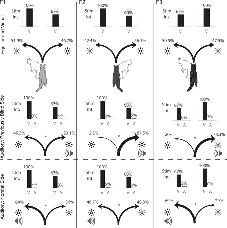 Fig. 5: