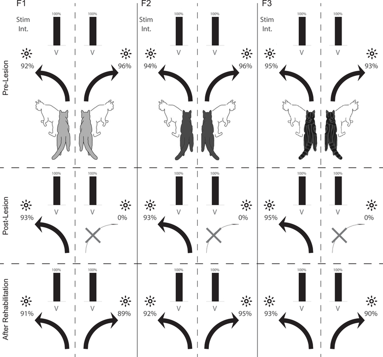 Fig. 3: