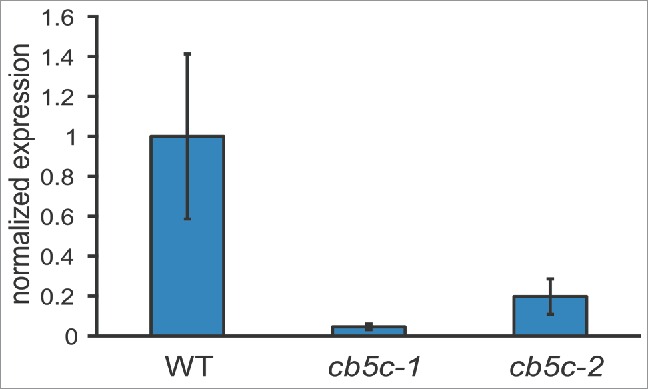 Figure 2.