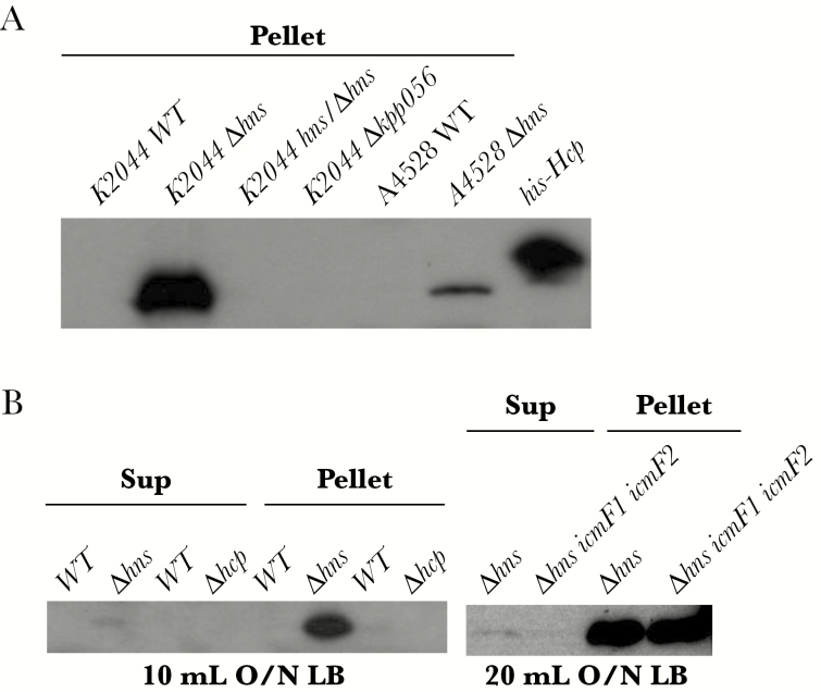 Figure 6.