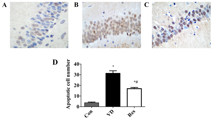 Figure 3.