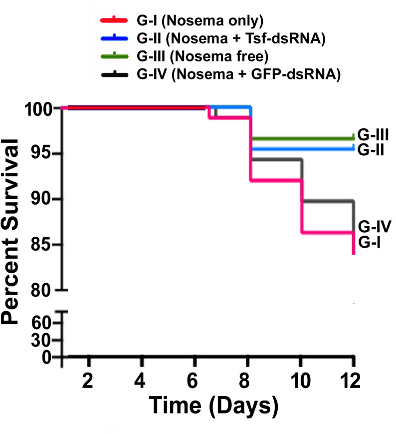 Fig 11