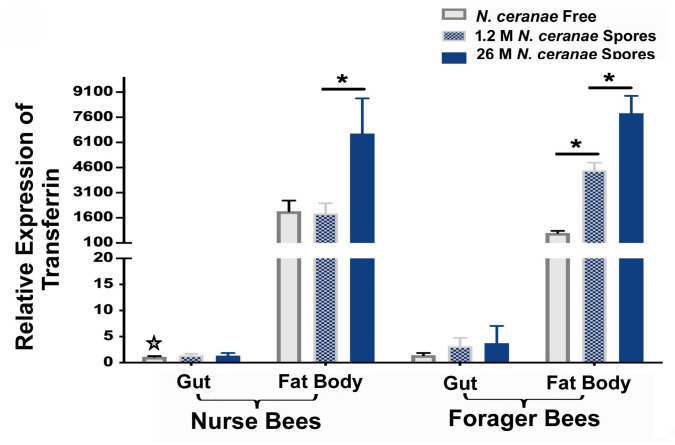 Fig 5