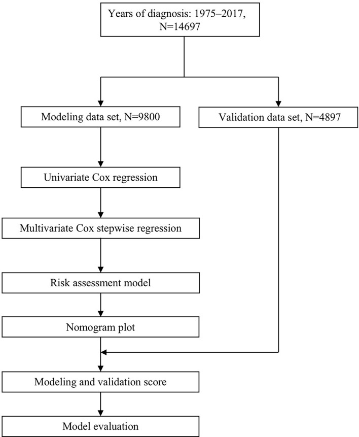 Figure 1