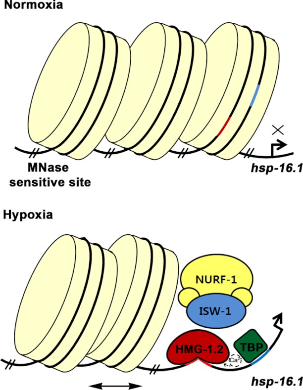 FIGURE 5.