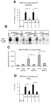 Figure 6