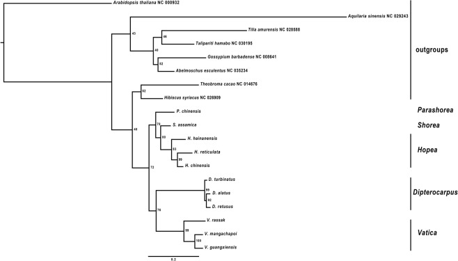 Figure 5