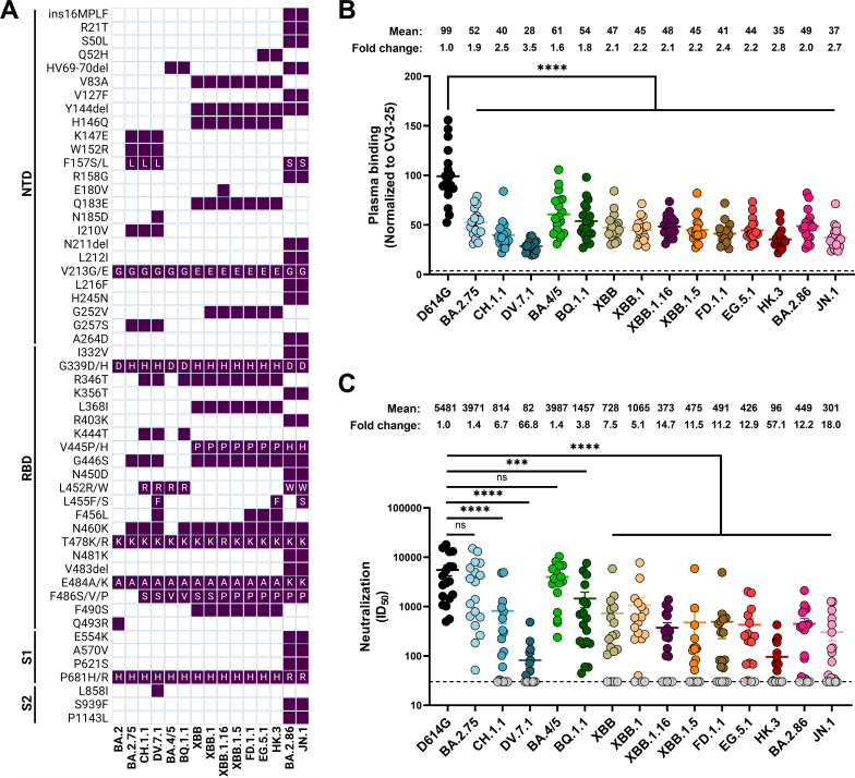 The illustration depicts mutations in SARS-CoV-2 variants differing from BA.2, plasma binding normalized to CV3-25, and neutralization capacity, highlighting statistical significance.