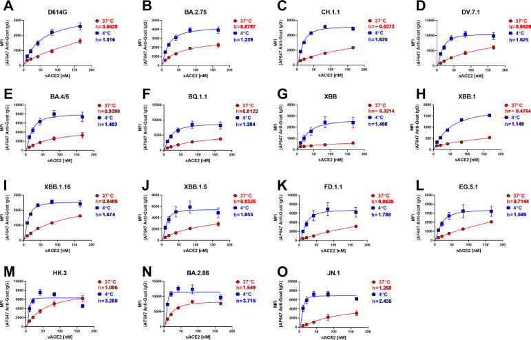 Graphs display sACE2 binding curves at different temperatures, indicating binding strength via mean fluorescence intensity.