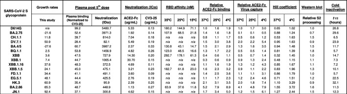 This table summarizes the effects on SARS-CoV-2 variants, including growth rates, plasma binding, neutralization, RBD affinity, ACE2-Fc binding, virus capture, and cold inactivation.