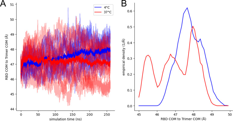 An illustration presents molecular dynamics simulations of RBD-trimer distances at different temperatures, depicting structural stability.