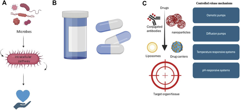 FIGURE 3