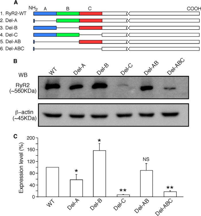 FIGURE 1.