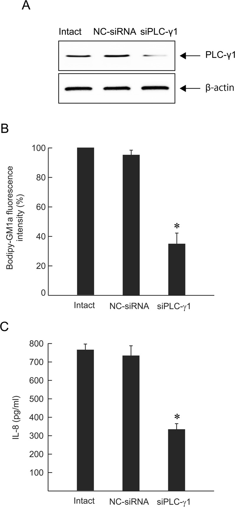 Fig 7