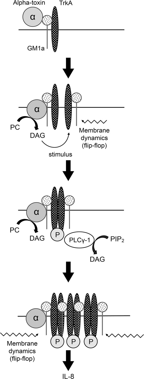 Fig 8