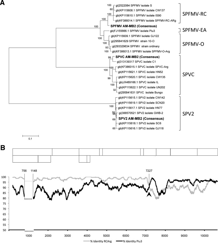 FIG 2