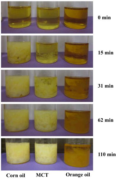 Figure 2a