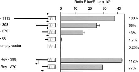 Figure  4