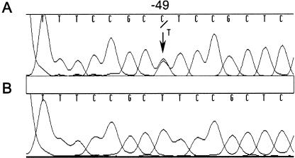 Figure  1