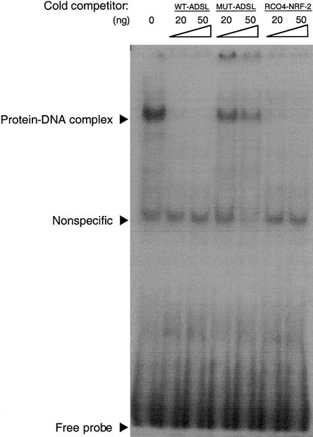 Figure  7