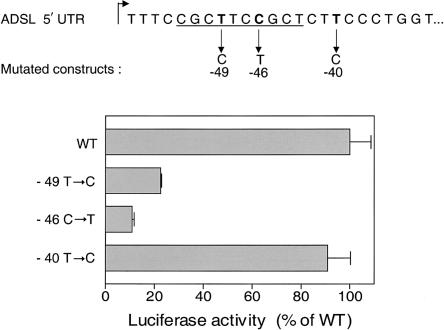 Figure  5