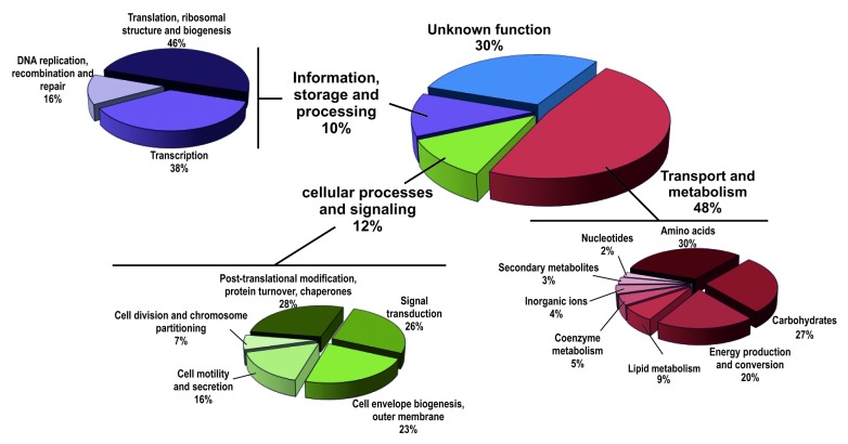 graphic file with name rna-11-563-g4.jpg