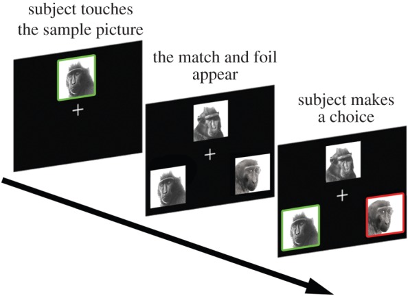 Figure 2.