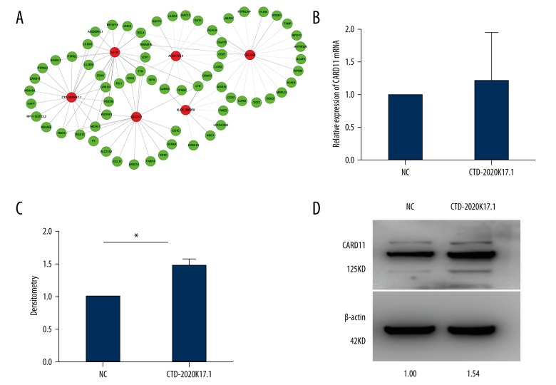 Figure 7