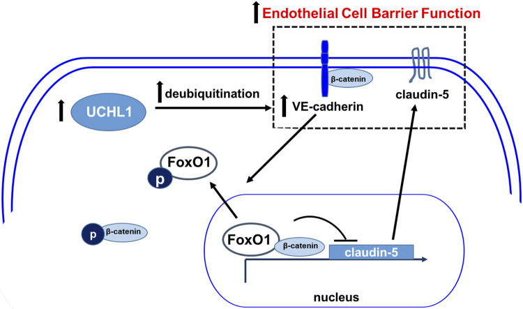 Figure 9.