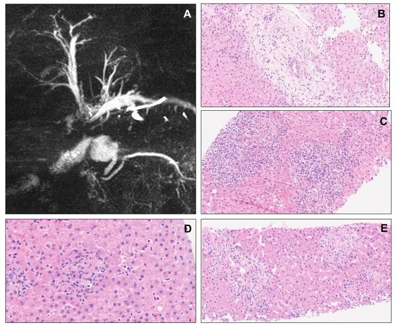 Fig. 3