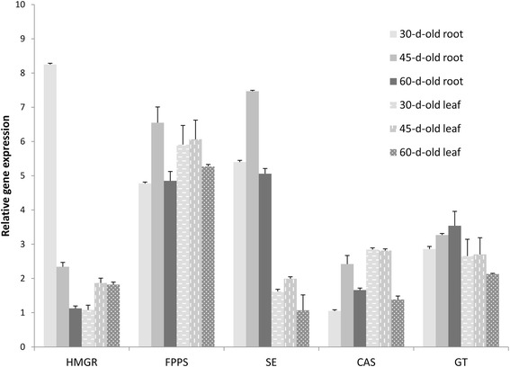 Figure 5