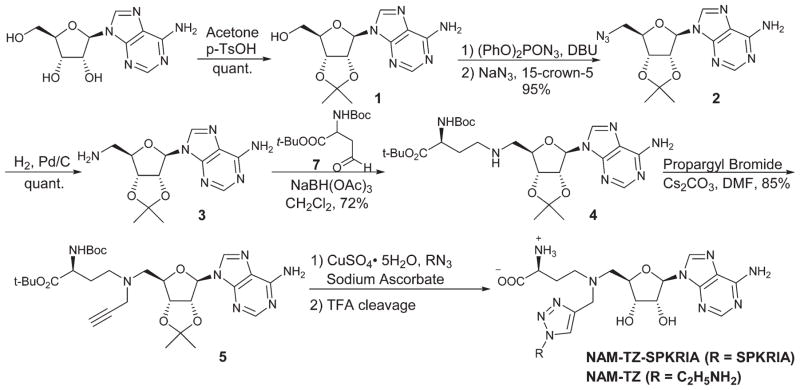 Scheme 1