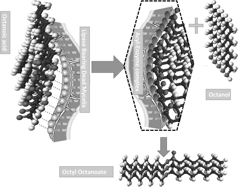 graphic file with name 10068_2018_405_Figa_HTML.jpg